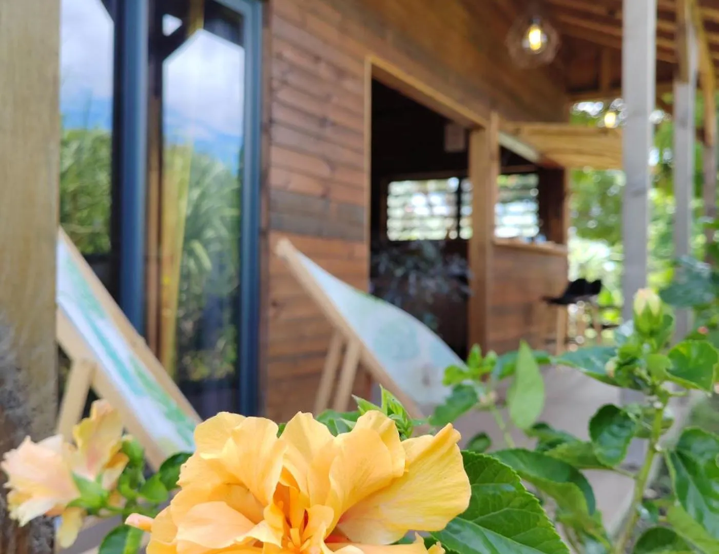 Odyssea Caraibes Cottages & Spa Saint-Louis