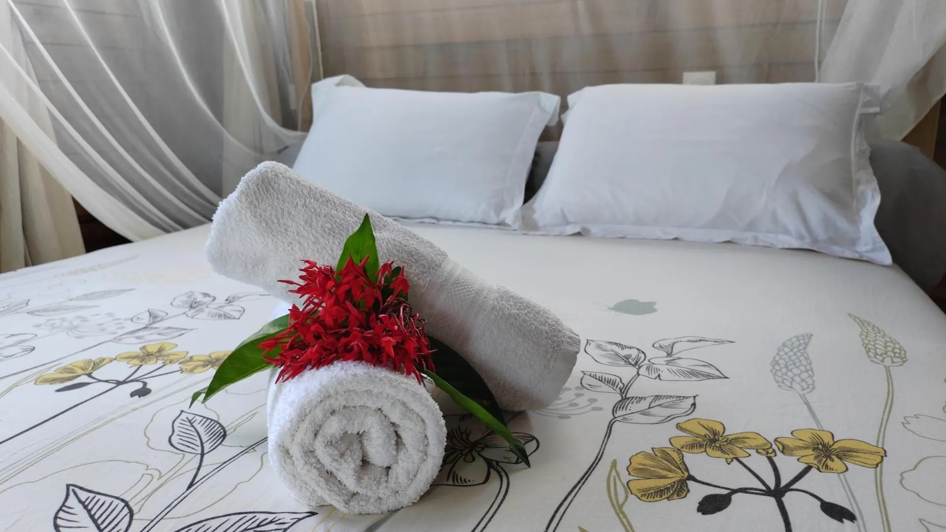 Odyssea Caraibes Cottages & Spa Saint-Louis Hébergement de vacances